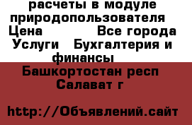 расчеты в модуле природопользователя › Цена ­ 3 000 - Все города Услуги » Бухгалтерия и финансы   . Башкортостан респ.,Салават г.